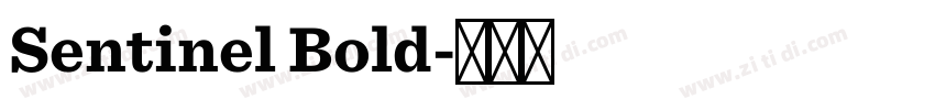 Sentinel Bold字体转换